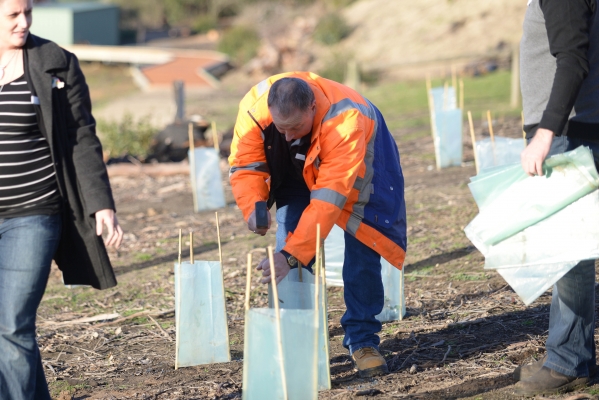 gallery/2016 Leaders Forum tree planting at Narmbool/lizcrothers_7564-tn.jpg